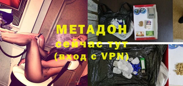 гидра Абаза