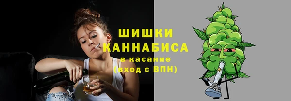 прущие грибы Абдулино