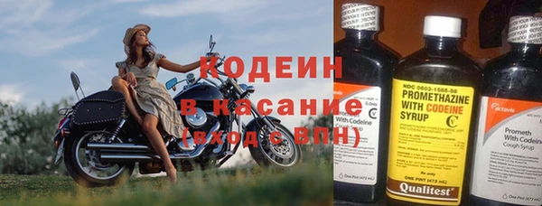 гидра Абаза