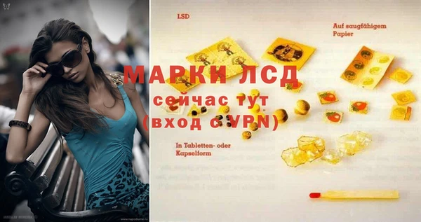 прущие грибы Абдулино